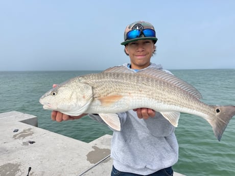 Fishing in Sarasota, Florida