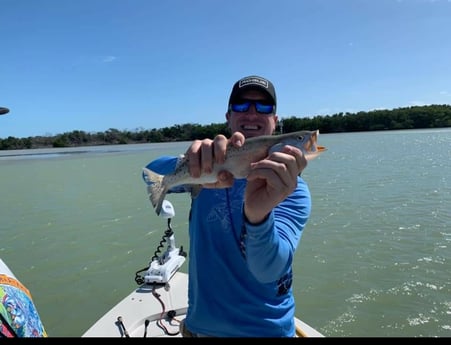 Speckled Trout / Spotted Seatrout fishing in Islamorada, Florida