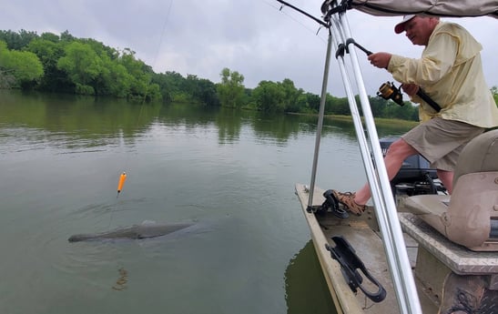Alligator Gar fishing in Corsicana, Texas