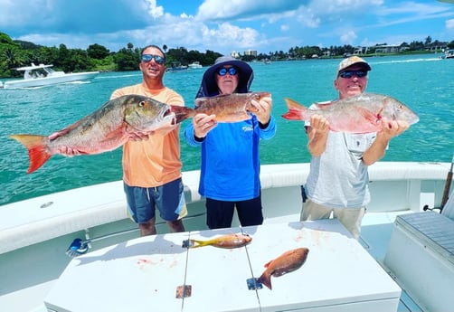 Mangrove Snapper, Mutton Snapper Fishing in Jupiter, Florida