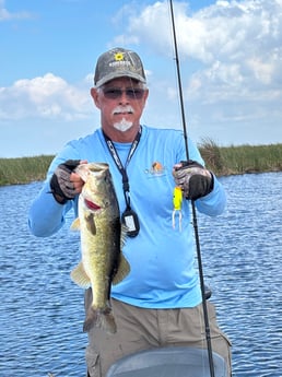 Largemouth Bass Fishing in Loxahatchee, Florida