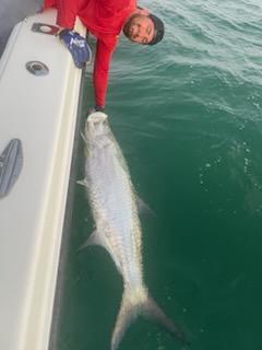 Tarpon Fishing in St. Petersburg, Florida