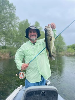 Largemouth Bass Fishing in New Braunfels, Texas