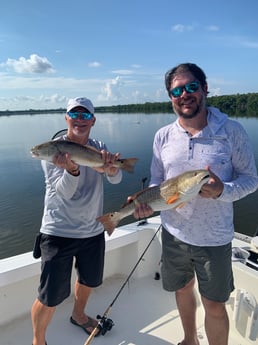 Redfish Fishing in Bradenton, Florida