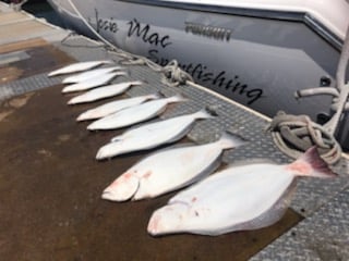 Fishing in San Jose, California