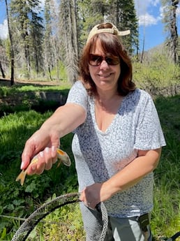 Brown Trout Fishing in