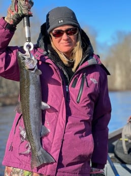 Steelhead Fishing in Verona Beach, New York