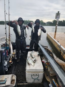 Fishing in Port Jefferson, New York