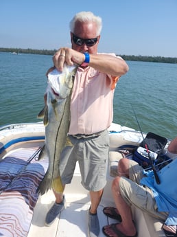 Snook Fishing in