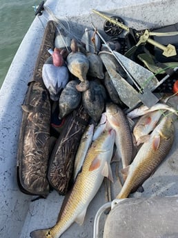 Redfish Fishing in Ingleside, Texas