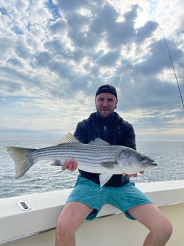 Striped Bass fishing in Nantucket, Massachusetts