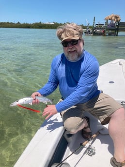 Barracuda fishing in Summerland Key, Florida
