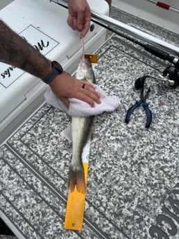 Fishing in Lakeside Marblehead, Ohio