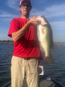 Largemouth Bass Fishing in Alba, Texas