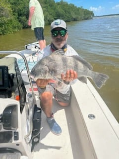Black Drum Fishing in Miami, Florida