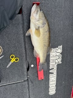 Fishing in Alba, Texas