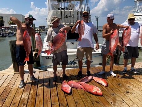 Red Snapper fishing in Dauphin Island, Alabama