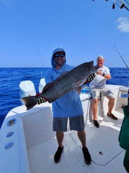 Fishing in Sarasota, Florida