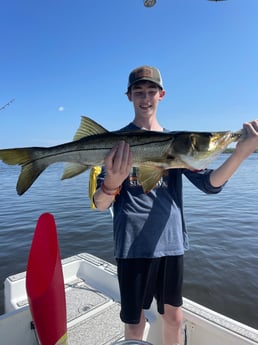 Snook Fishing in Cape Coral, Florida