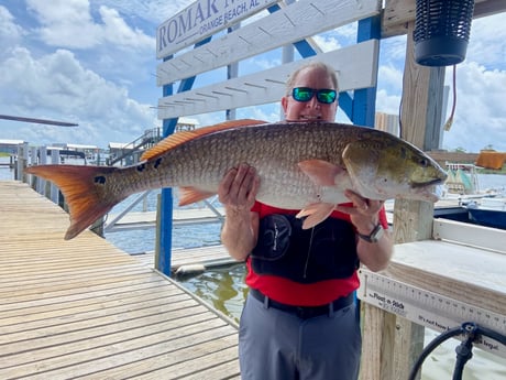 Fishing in Orange Beach, Alabama