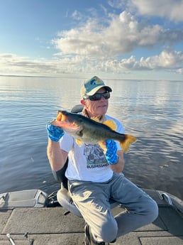 Largemouth Bass Fishing in