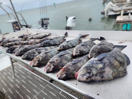 Fishing in Port Isabel, Texas