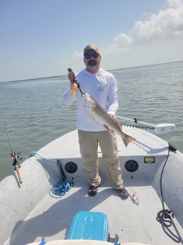 Redfish Fishing in St. Petersburg, Florida