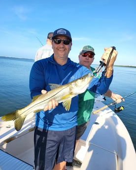 Snook Fishing in Sarasota, Florida