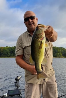 Largemouth Bass Fishing in Lake Fork, Texas