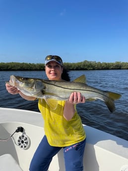 Fishing in Bradenton, Florida