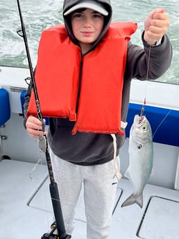 Fishing in Wellington, Florida