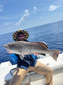 Fishing in Sarasota, Florida