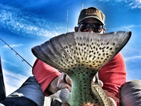 Speckled Trout / Spotted Seatrout Fishing in Beaufort, North Carolina