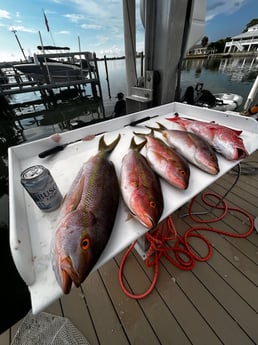 Fishing in Bay Pines, Florida