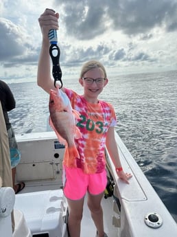 Red Snapper Fishing in Shalimar, Florida