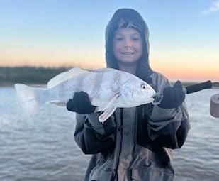 Black Drum Fishing in Port O&#039;Connor, Texas