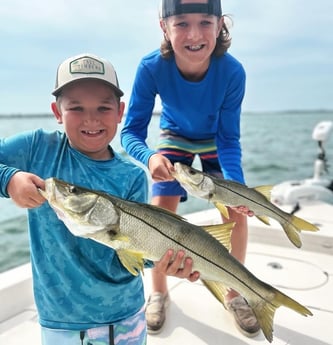 Snook Fishing in Cape Coral, Florida