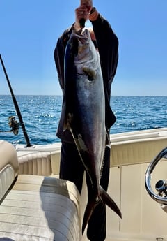 Fishing in Shalimar, Florida