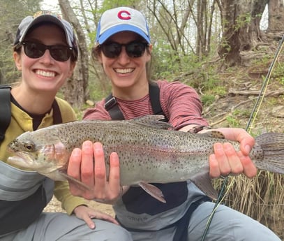 Rainbow Trout fishing in Leicester, North Carolina