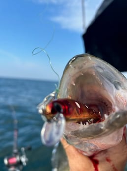 Fishing in North Lawrence, Ohio