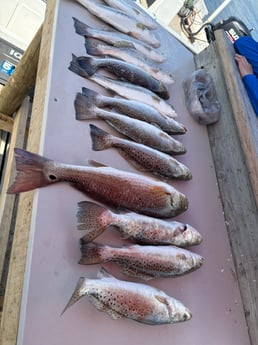 Fishing in Houston, Texas