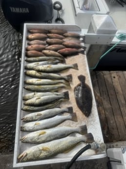 Fishing in Bradenton, Florida