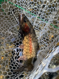 Fishing in Broken Bow, Oklahoma