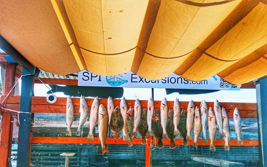 Flounder, Redfish, Speckled Trout / Spotted Seatrout Fishing in Rio Hondo, Texas