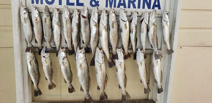 Fishing in South Padre Island, Texas