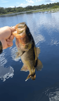 Fishing in Jensen Beach, Florida