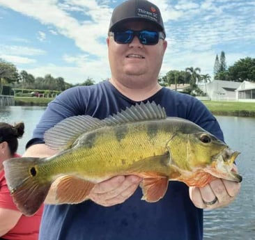 Peacock Bass fishing in Delray Beach, Florida