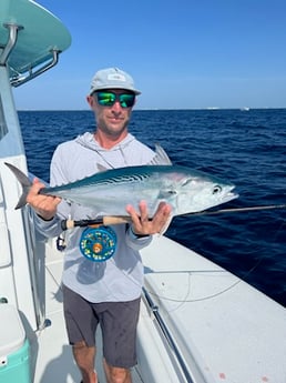 False Albacore Fishing in Jupiter, Florida