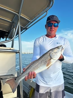 Fishing in Sarasota, Florida