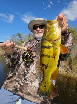 Fishing in Pembroke Pines, Florida